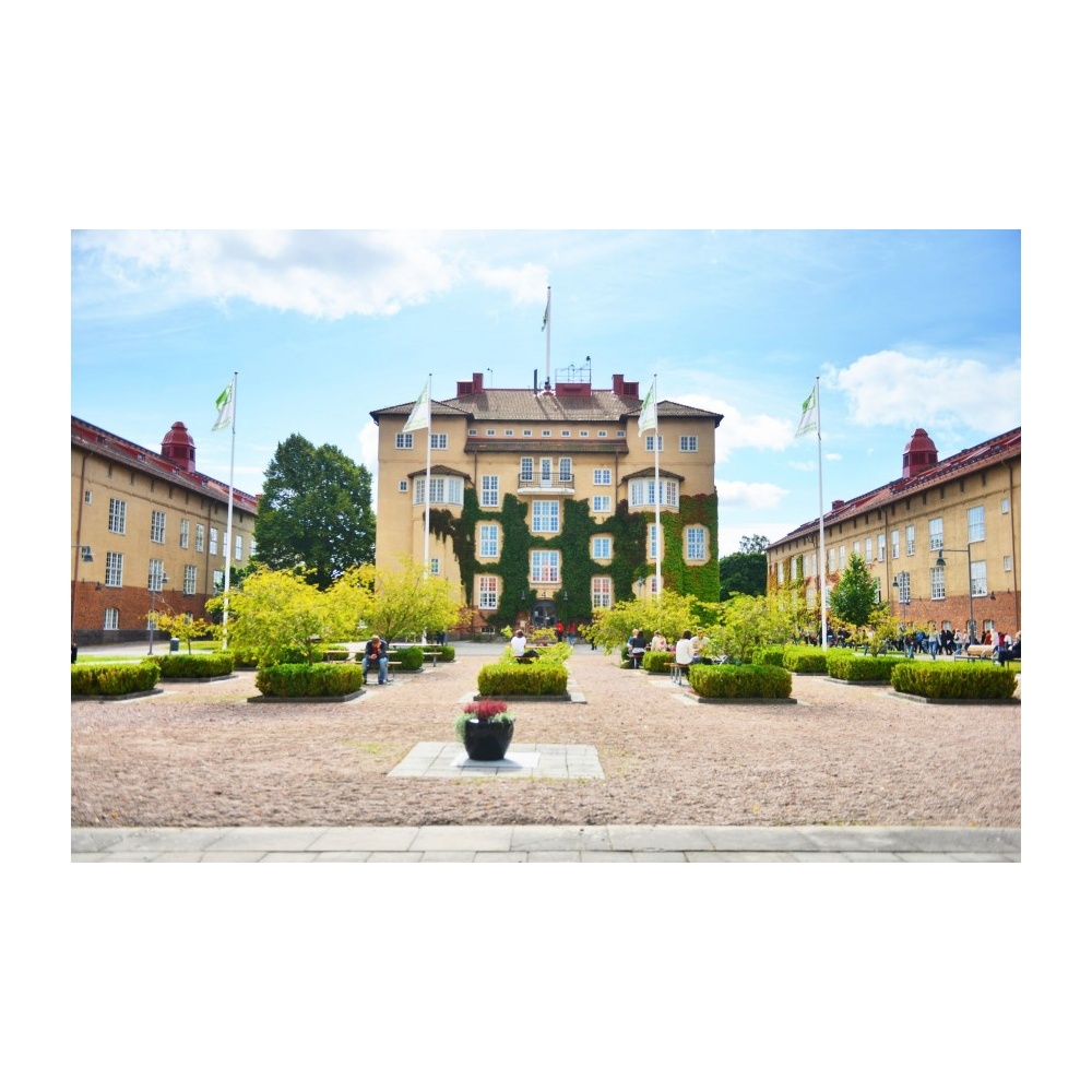 kristianstad-university